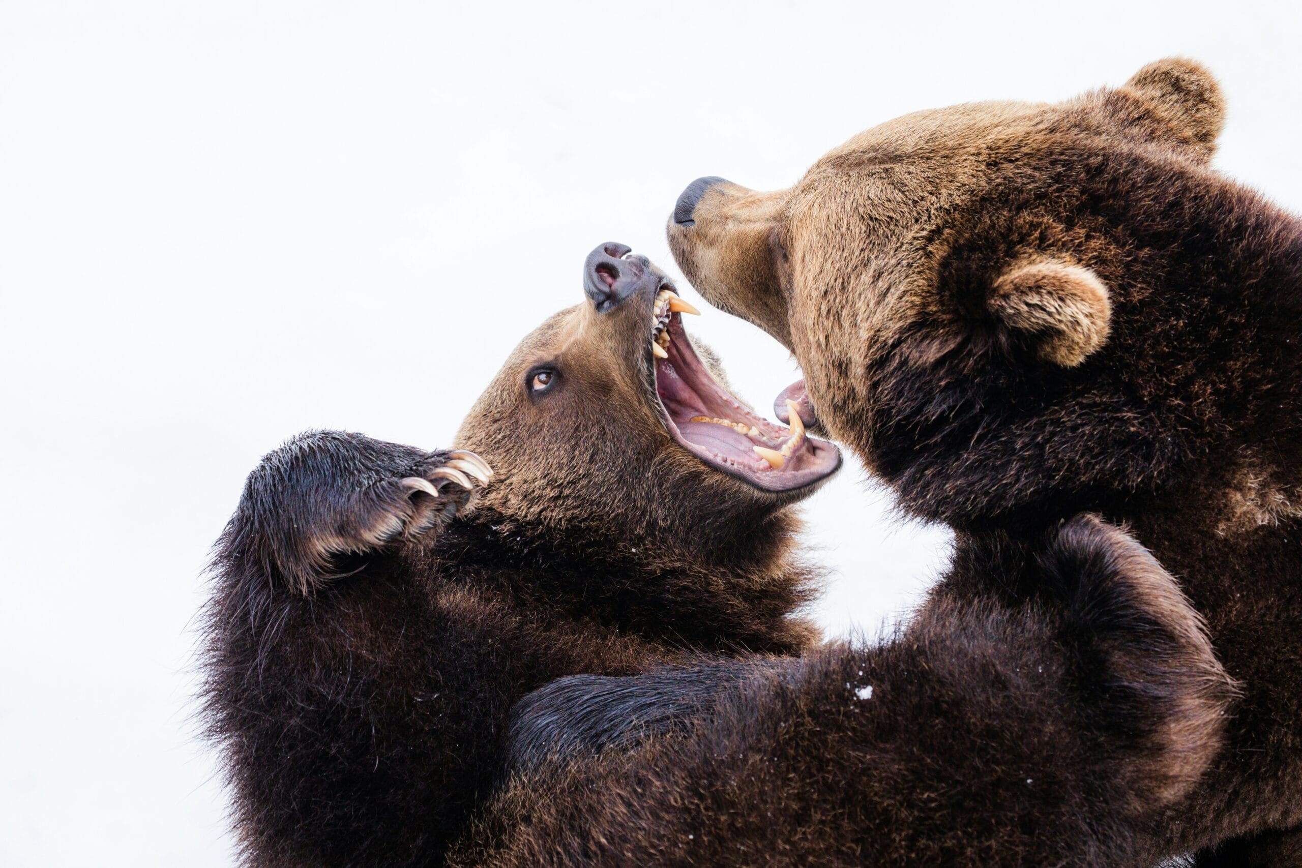 Discussie of conflict? Zakelijke mediation schept duidelijkheid